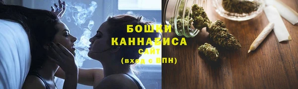 индика Белоозёрский