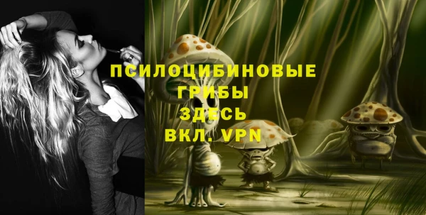 индика Белоозёрский