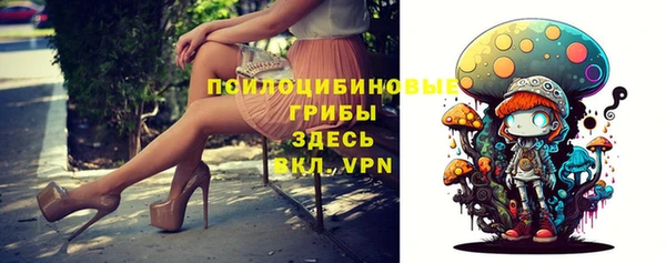 индика Белоозёрский