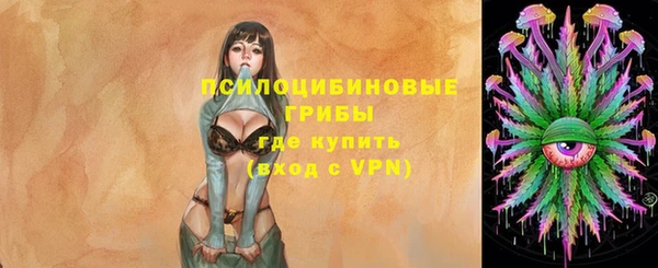 индика Белоозёрский