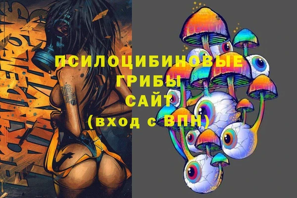 индика Белоозёрский