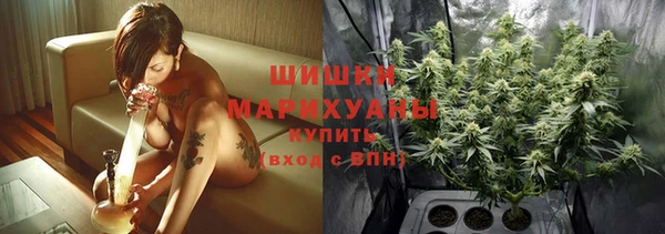 индика Белоозёрский