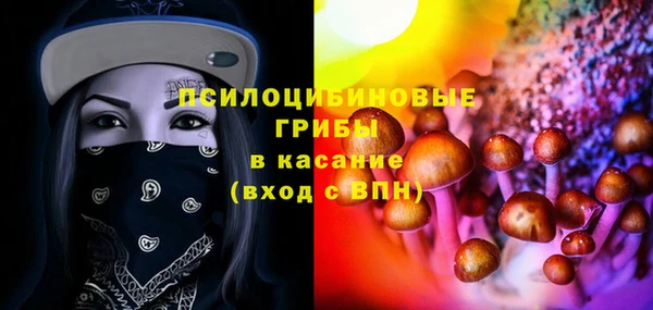 ешки Белокуриха