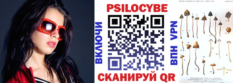 Псилоцибиновые грибы Psilocybine cubensis  Кондрово 